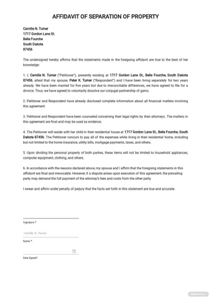 Affidavit of Separation of Property Template