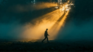 Free Cinematic Morning Mist to Edit Online