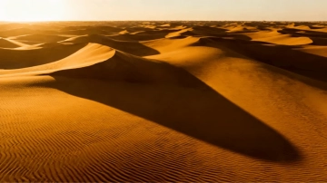 Free Golden Desert Horizon to Edit Online