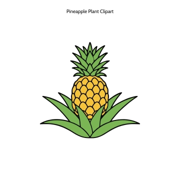 Free Pineapple Plant Vector Clipart (PNG, SVG) to Edit Online