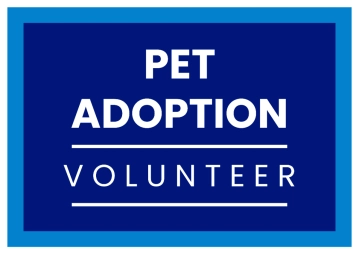 Free Pet Adoption Volunteer Sign Template to Edit Online