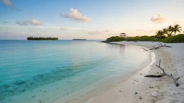 Free Crystal Clear Lagoon Beach Background Template to Edit Online