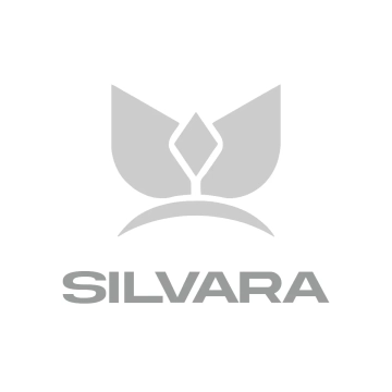 Free Silver Jewelry Logo to Edit Online