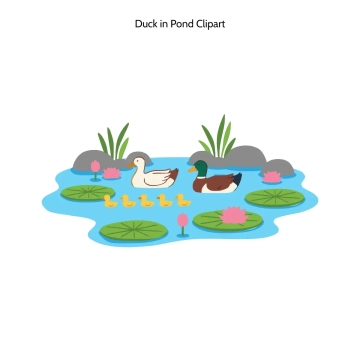 Free Duck in Pond Vector Clipart (PNG, SVG) to Edit Online