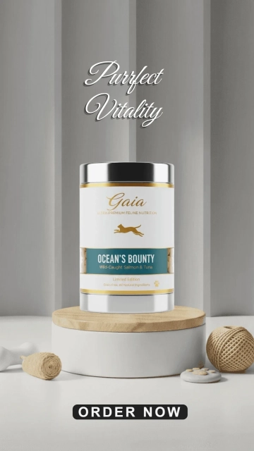 Free Modern Pet Product Background Template to Edit Online