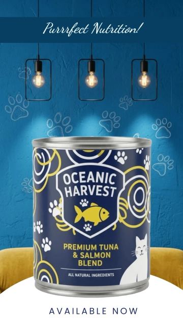 Free Pet Food Promotion Background Template to Edit Online