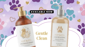 Free Beautiful Pet Pattern Background Template to Edit Online