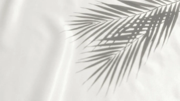 Free Light Shadow White Background Template to Edit Online