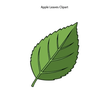 Free Apple Leaves Vector Clipart (PNG, SVG) to Edit Online