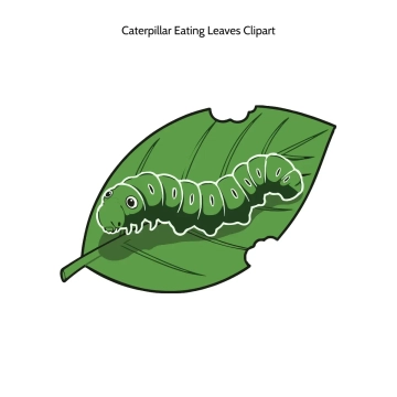 Free Caterpillar Eating Leaves Vector Clipart (PNG, SVG) to Edit Online
