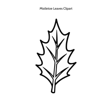 Free Mistletoe Leaves Vector Clipart (PNG, SVG) to Edit Online