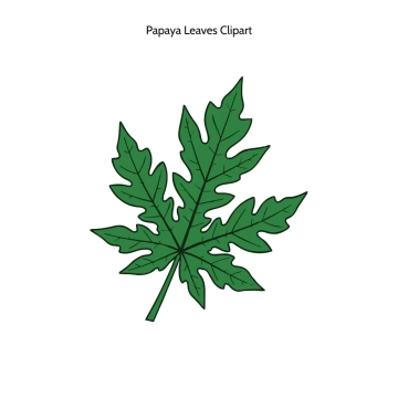 Free Papaya Leaves Vector Clipart (PNG, SVG) to Edit Online