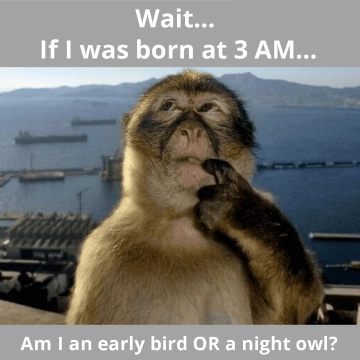Free Monkey Thinking Meme to Edit Online