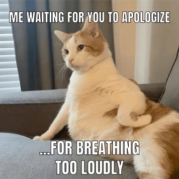Free Cat Meme Template to Edit Online