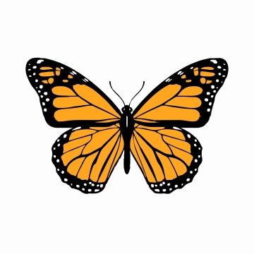 Free Butterfly Clipart Template to Edit Online