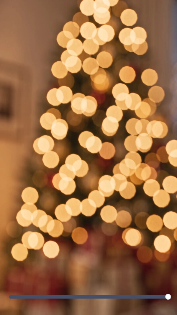 Personalized Christmas Photo Video Template