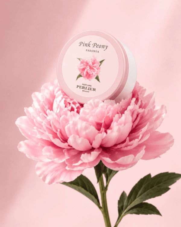 Free Off Kilter Product Shot Template to Edit Online