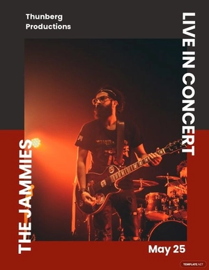Live Concert flyer template
