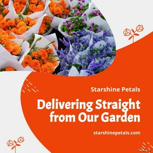 Free Flower Delivery Linkedin Post Template to Edit Online