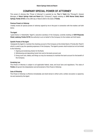 Company Special Power of Attorney Template