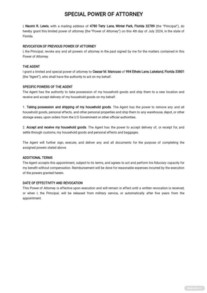 Sample Special Power of Attorney Template