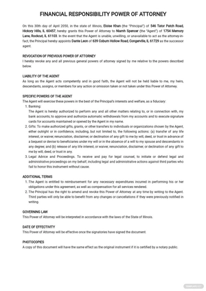 Financial Responsibility Power of Attorney Template
