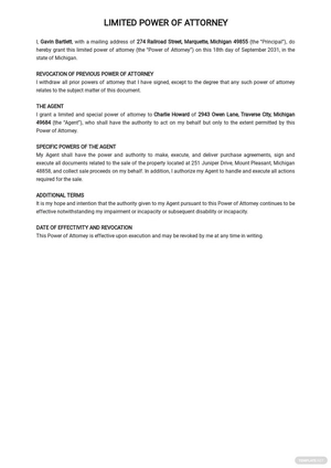 Special or Limited Power of Attorney Form Template