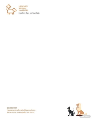 Animal Hospital Letterhead Template