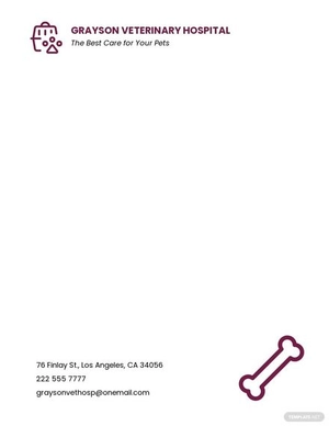 Sample Veterinary Hospital Letterhead Template