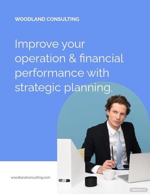 Management Consulting Flyer Template