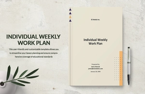 Individual Weekly Work Plan Template