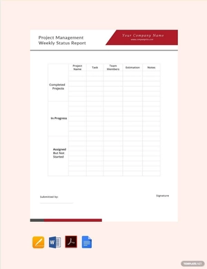 Project Management Weekly Status Report Template