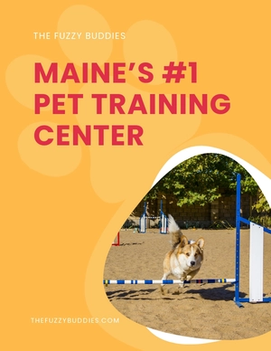Pet Training Ad Flyer Template