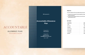 Accountable Allowance Plan Template