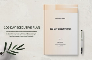 100 Day Executive Plan Template