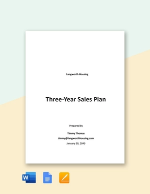 3 Year Sales Plan Template