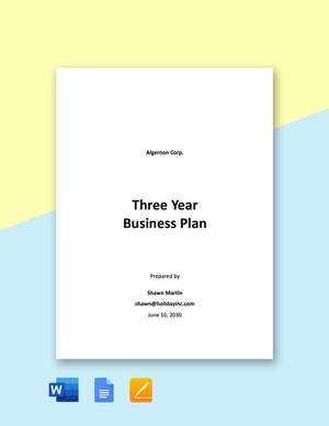 Simple 3 Year Business Plan Template
