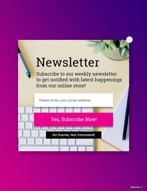 Website Subscription Pop-up Template