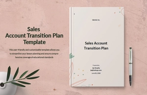 Sales Account Transition Plan Template