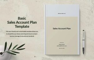 Basic Sales Account Plan Template
