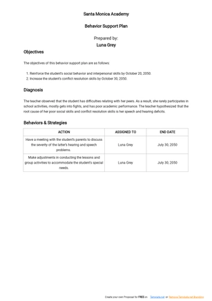 One Page Behavior Support Plan Template