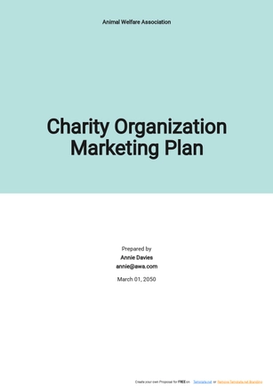 Charity Organization Marketing Plan Template