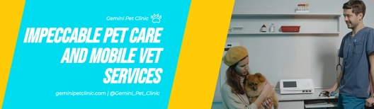 Pet Clinic Billboard Template