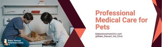 Veterinarian Clinic Billboard Template