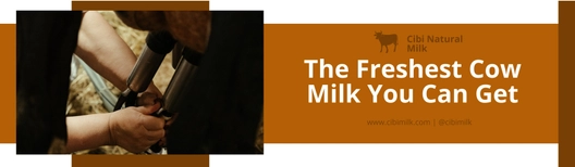 Natural Milk Product Billboard Template