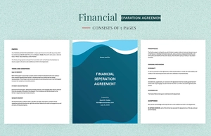 Financial Separation Agreement Template