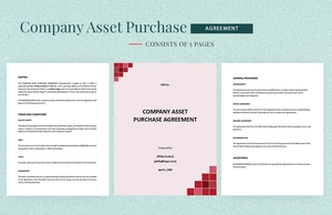 Company Asset Purchase Agreement Template