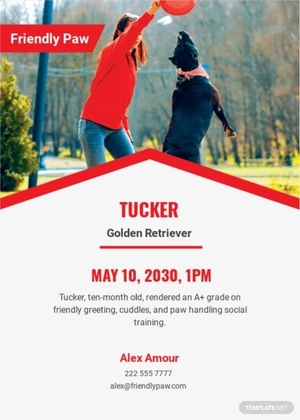 Dog Training Report Card Template