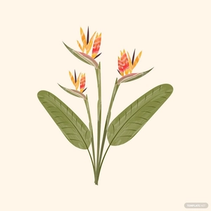Watercolor Tropical Floral Vector