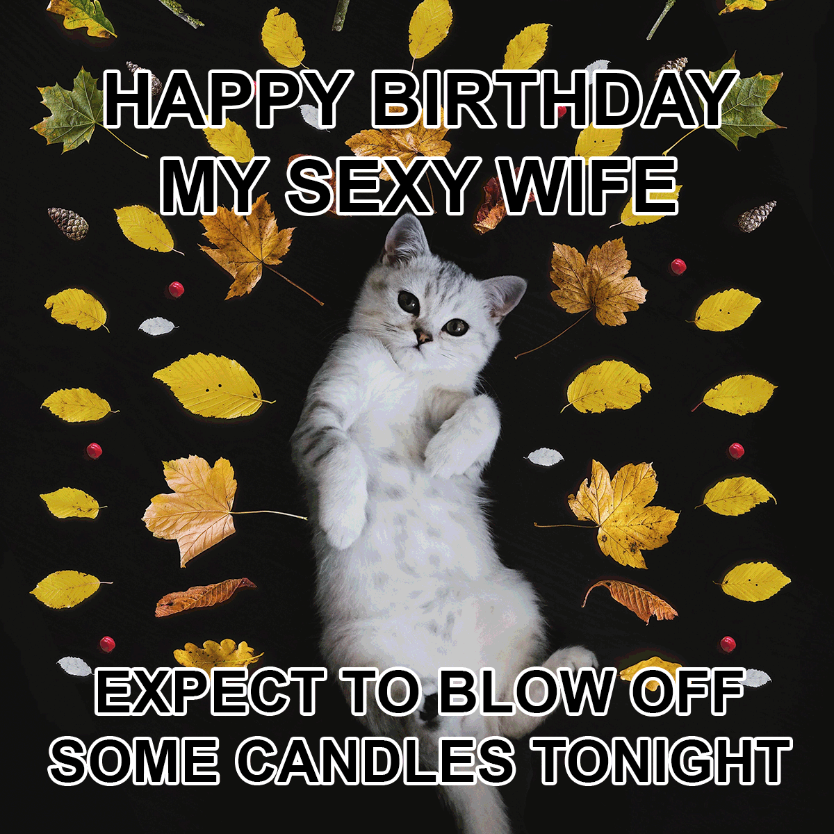 Happy Birthday Wife Meme